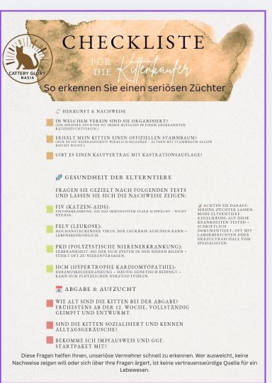 Checkliste